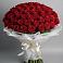Букет 101 Красная роза Блэк Мэджик в Сафоново