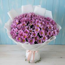 Букет цветов из:  Хризантемы в Сафоново