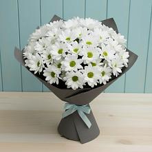 Букет цветов из:  Хризантемы #REPLACE_PRED# Сафоново