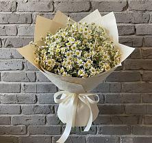 Букет цветов из:  Ромашки #REPLACE_PRED# Сафоново