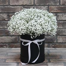 Цветочная композиция из Гипсофила в шляпной коробке в Сафоново