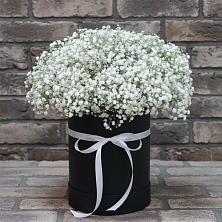 Цветочная композиция из Гипсофила в шляпной коробке в Сафоново