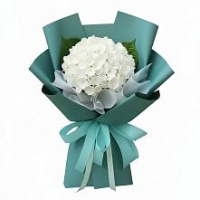 Букет цветов из:  Гортензия в Сафоново